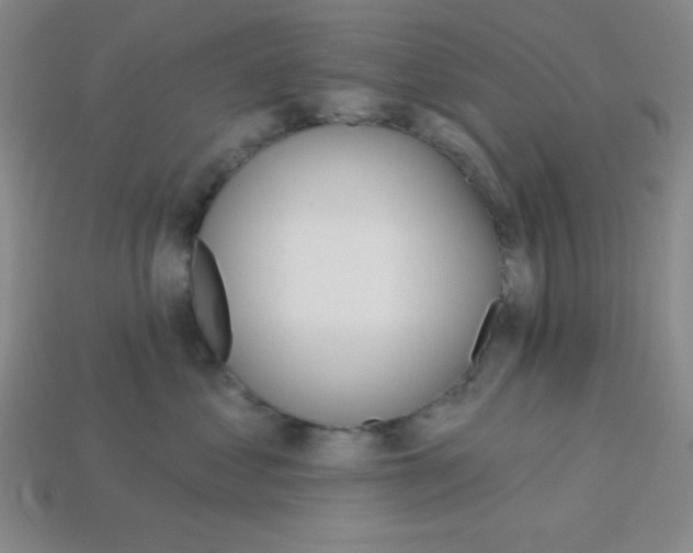 X0000113740621200910141005