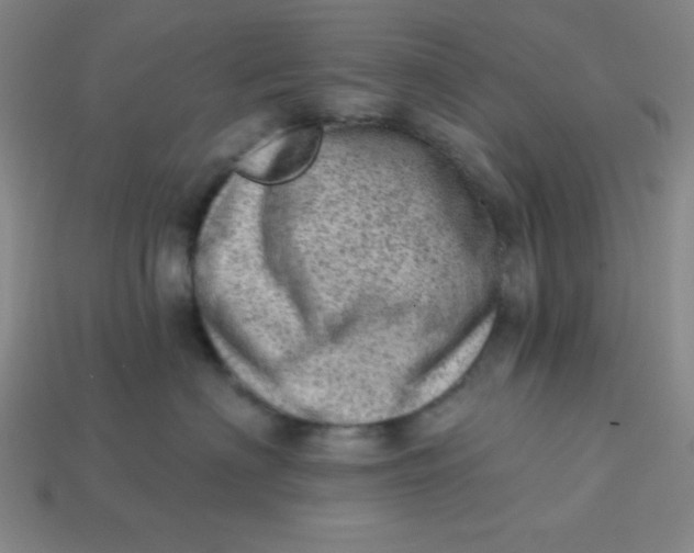 X0000113740622200910141005