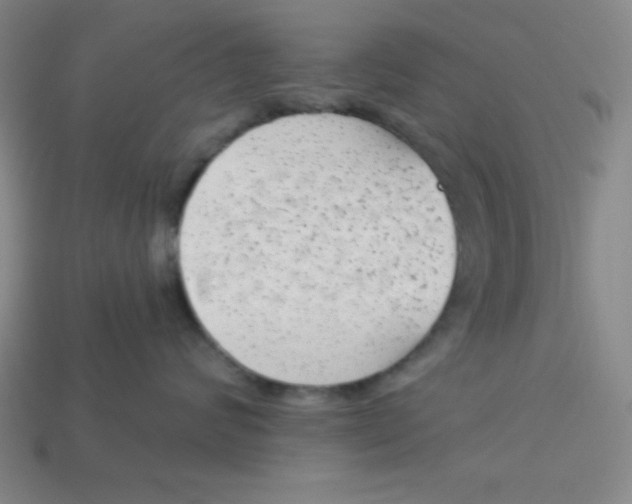 X0000113740624200910141005