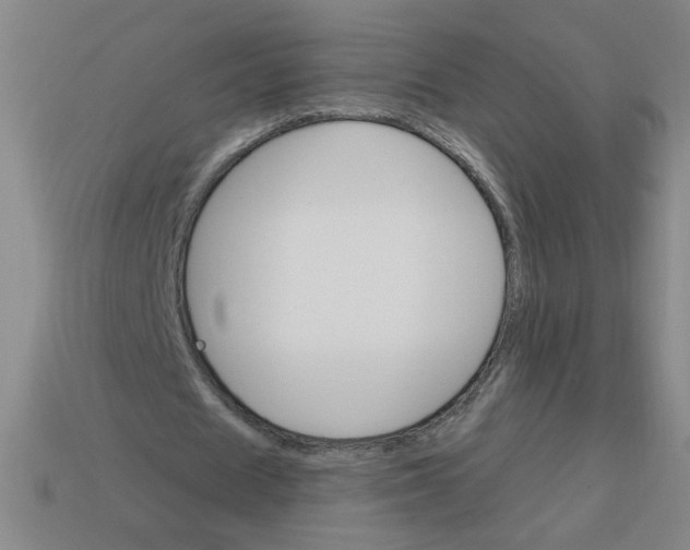 X0000113740625200910141004