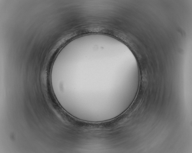 X0000113740626200910141004