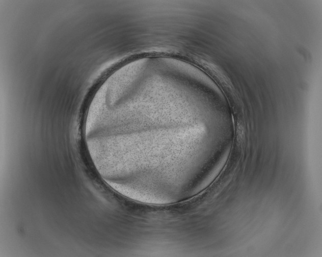 X0000113740628200910141005