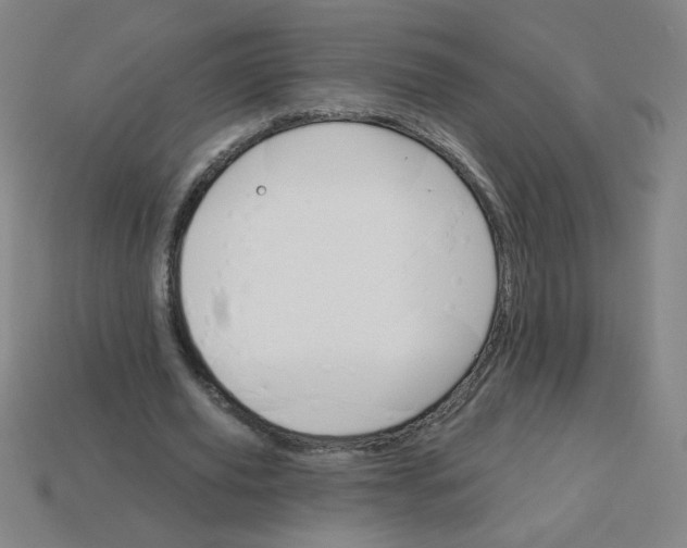 X0000113740629200910141005