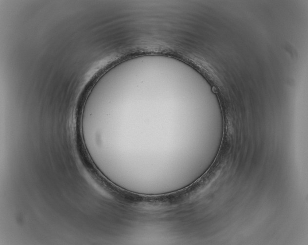 X0000113740630200910141005