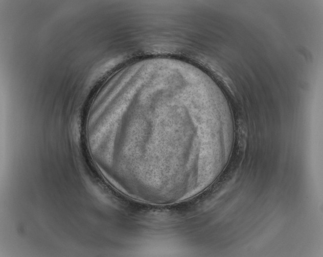 X0000113740631200910141005