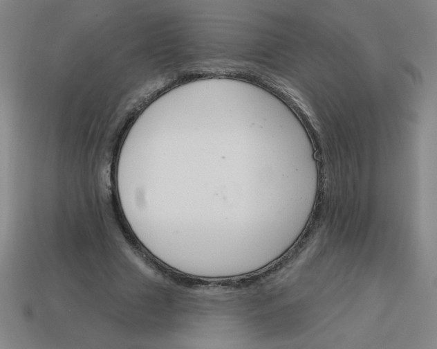 X0000113740633200910141005