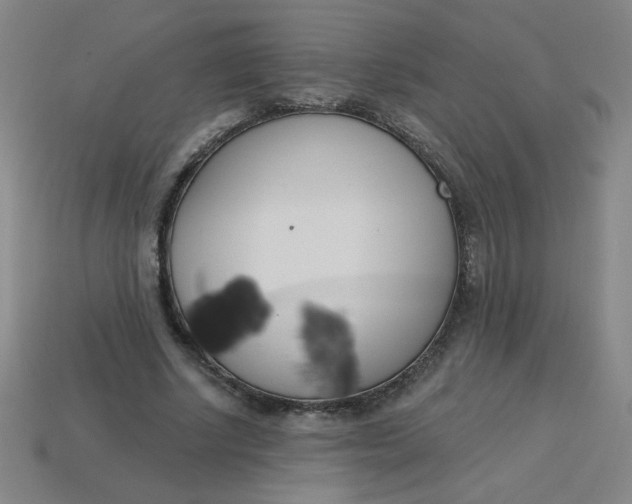 X0000113740634200910141005