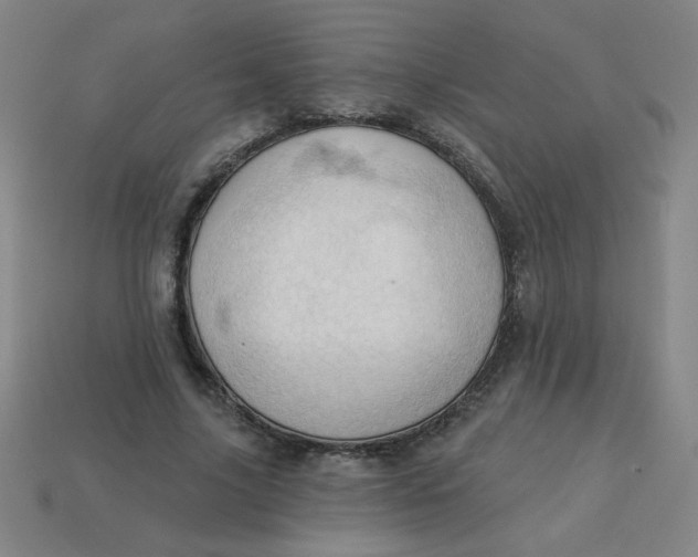 X0000113740635200910141005