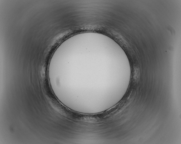 X0000113740636200910141005