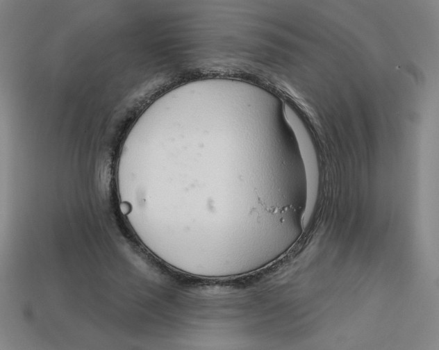 X0000113740637200910141005