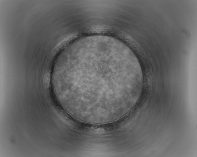 X0000113740640200910141005