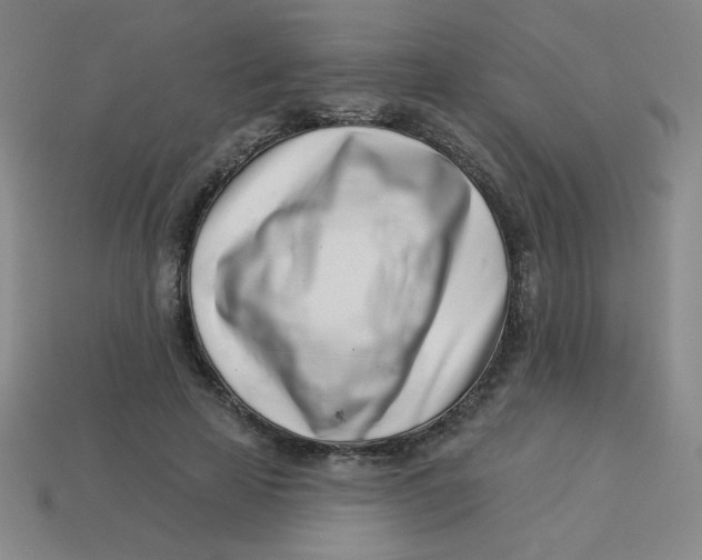 X0000113740641200910141005