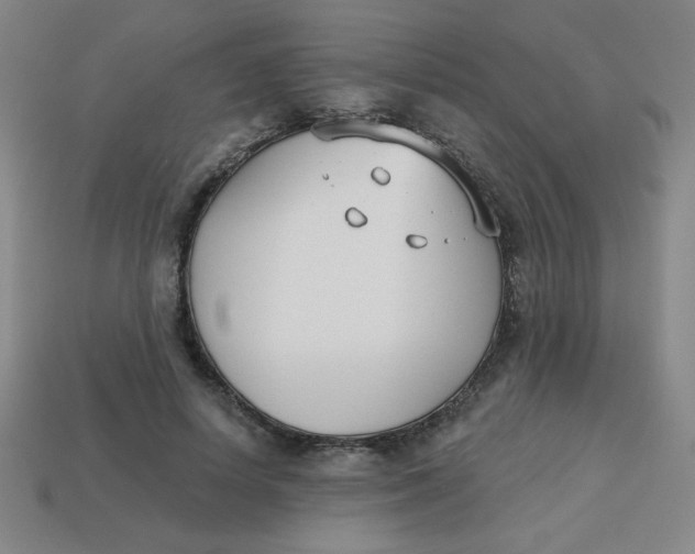 X0000113740642200910141005