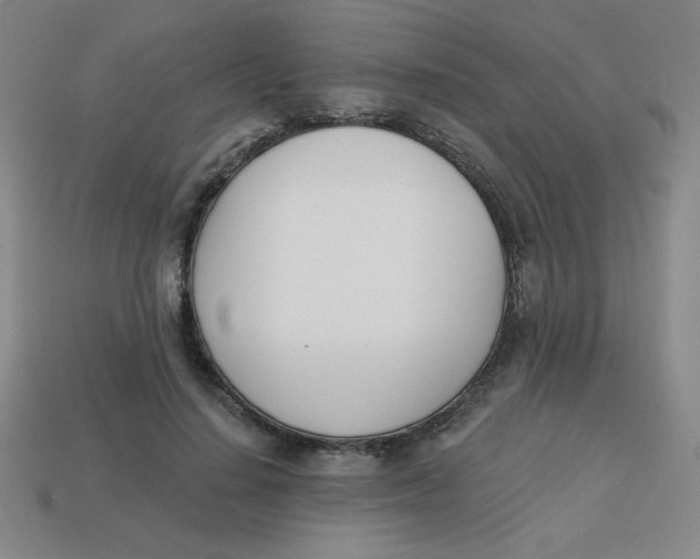 X0000113740644200910141005