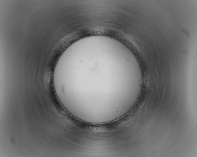 X0000113740645200910141005