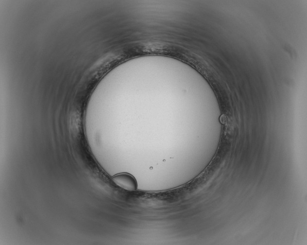 X0000113740648200910141005