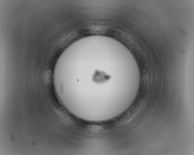 X0000113740649200910141005