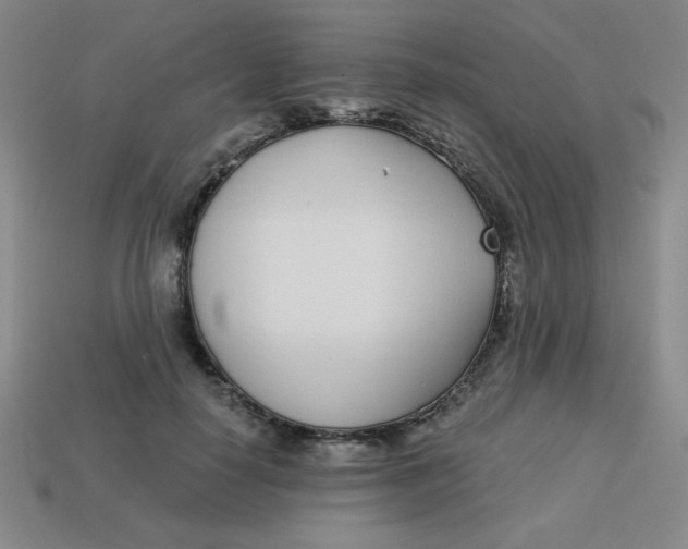 X0000113740650200910141005