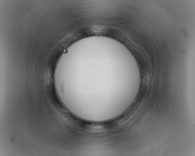 X0000113740651200910141005