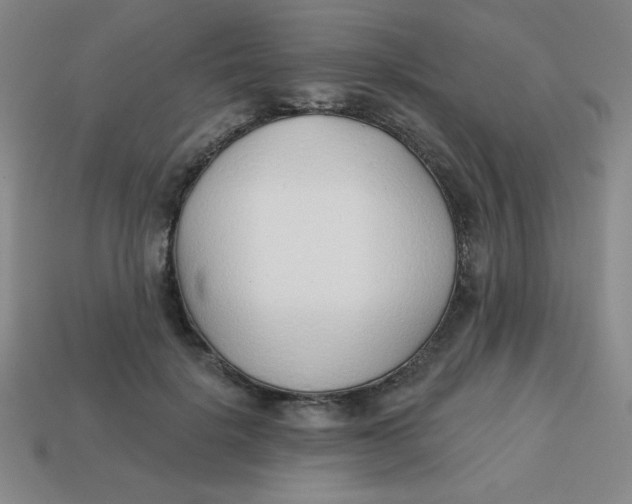 X0000113740652200910141005