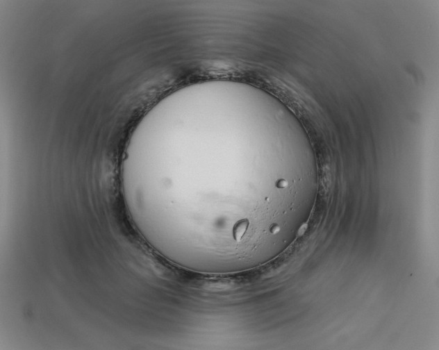 X0000113740653200910141005