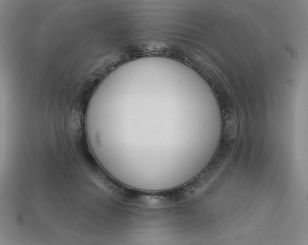 X0000113740654200910141005