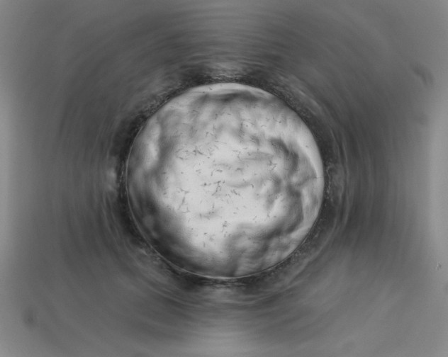 X0000113740655200910141005