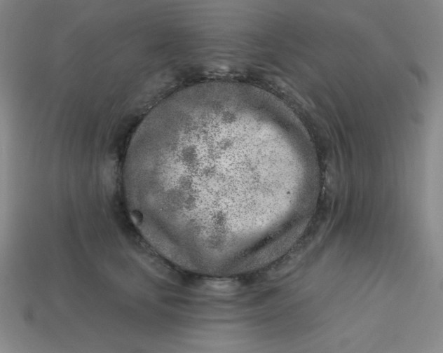 X0000113740659200910141005