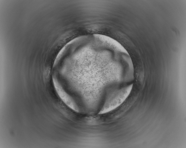 X0000113740660200910141005