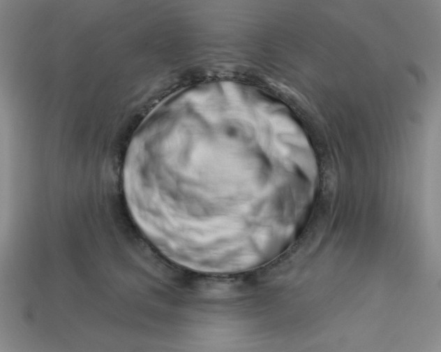 X0000113740661200910141005