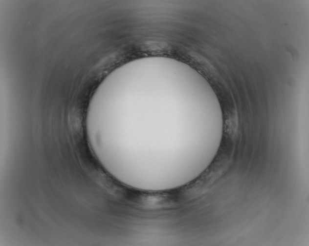 X0000113740662200910141005