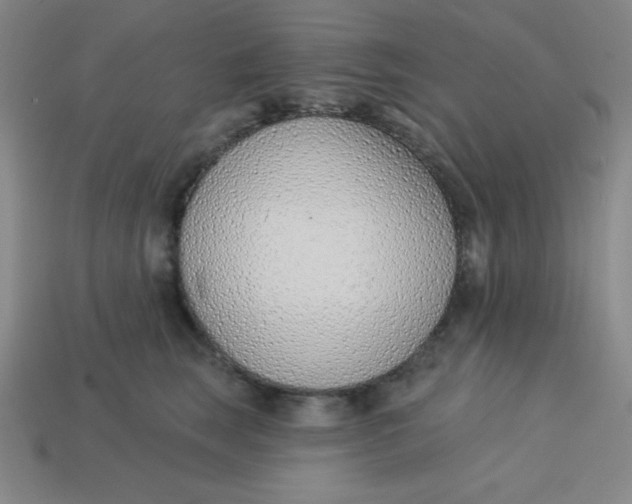 X0000113740663200910141005