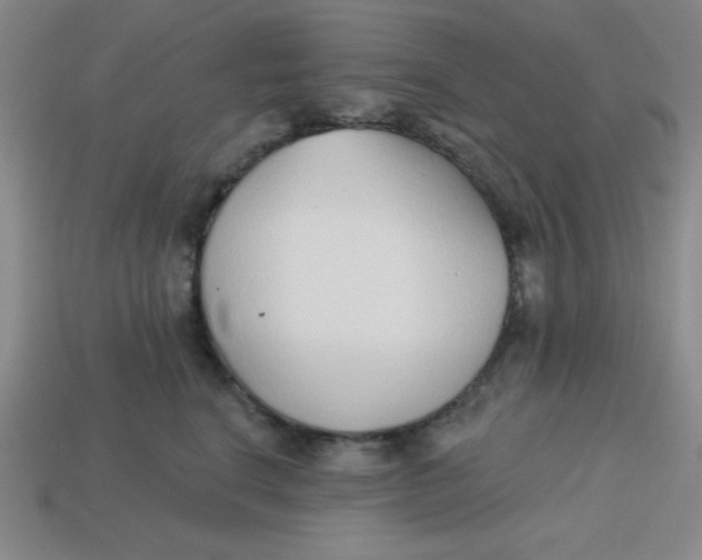 X0000113740664200910141005