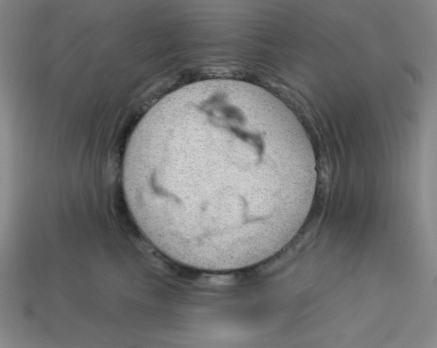 X0000113740665200910141005