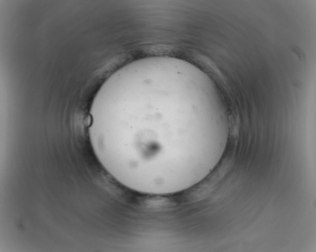 X0000113740669200910141005