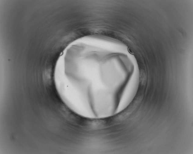 X0000113740670200910141005