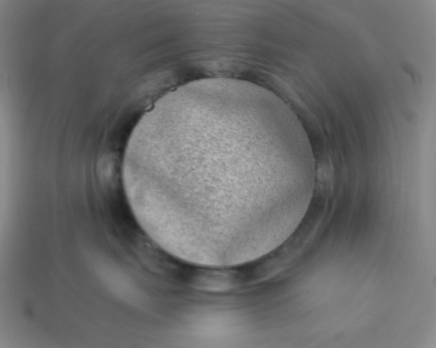 X0000113740671200910141005