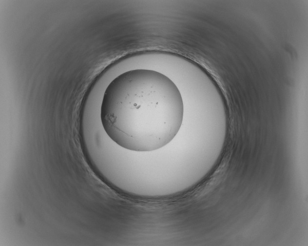 X0000113740673200910141004