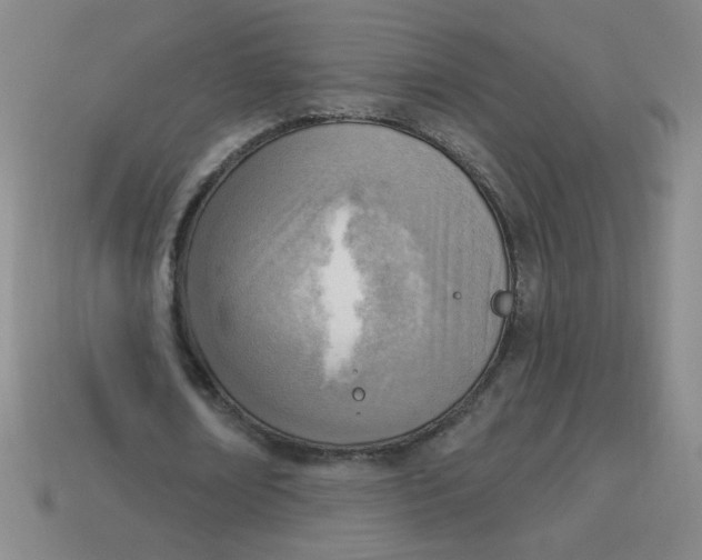 X0000113740674200910141004