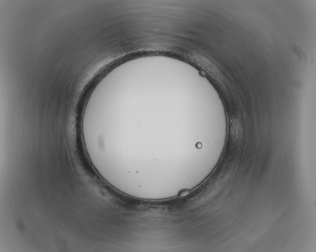 X0000113740676200910141004