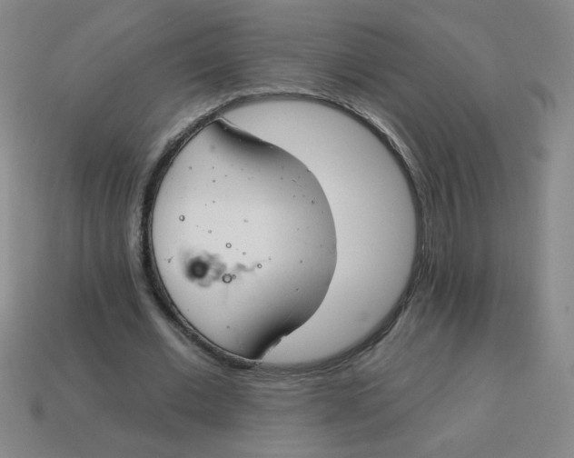 X0000113740677200910141004