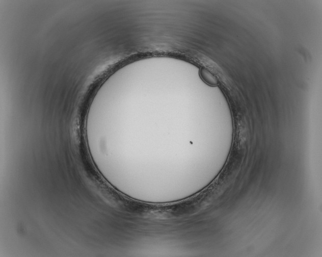 X0000113740680200910141004