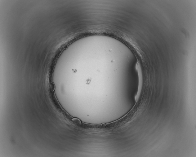 X0000113740681200910141004