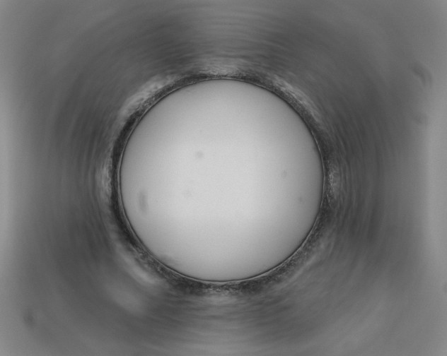 X0000113740682200910141004