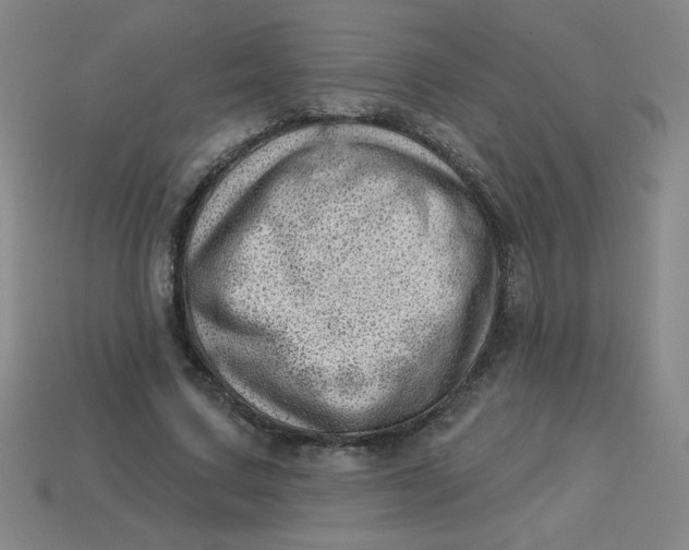 X0000113740683200910141004