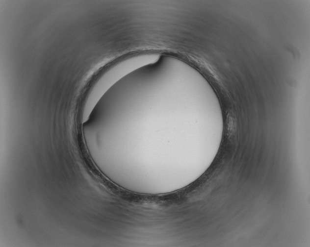 X0000113740684200910141004