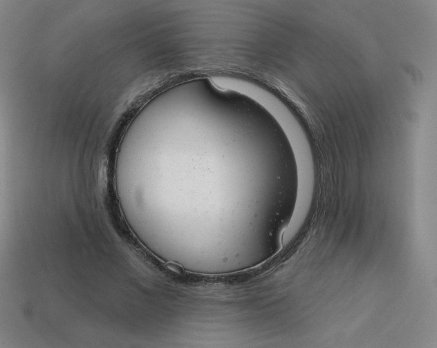 X0000113740685200910141004