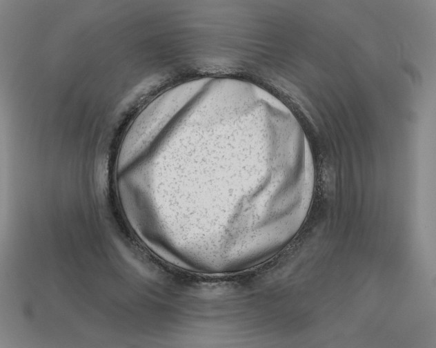 X0000113740686200910141004