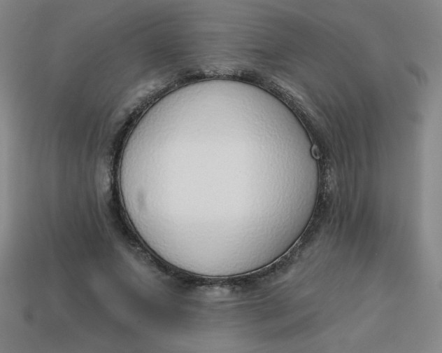 X0000113740687200910141004