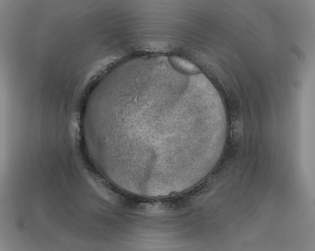 X0000113740688200910141004